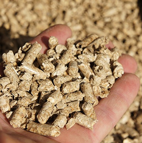 Jumbogras® Einstreu-Pellets aus Miscanthus|Elefantengras halbe Palette in 32 x 15 kg-Säcken, als Groß-Tier & Pferdeeinstreu, statt Stroh u. Sägespäne, für saubere Boxen|Stall|Paddock