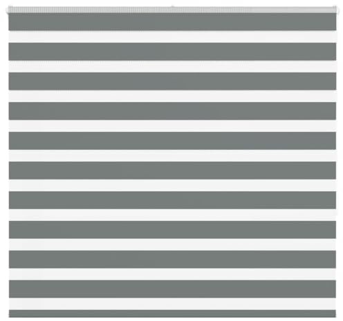 vidaXL Zebrarollo Dunkelgrau 165x150 cm Stoffbreite 160,9 cm Polyester, Zebra-Rollo, Doppelrollo, Zebra-Jalousie für Fenster, Doppelrollo, Zebra-Rollo