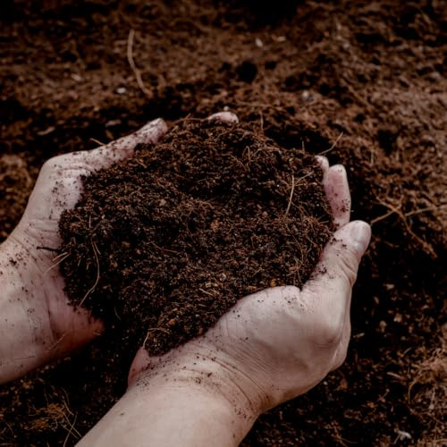 Universelle Blumenerde 30L Gartenpflanze