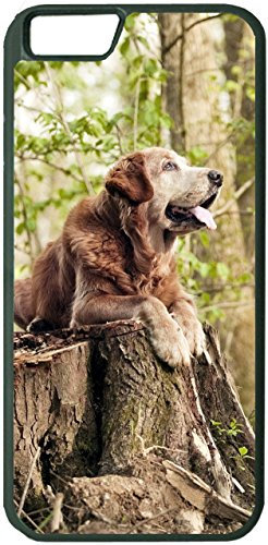 Yanteng Fall für iPhone 7 iPhone 8 (4,7 Zoll) Hund im Wald