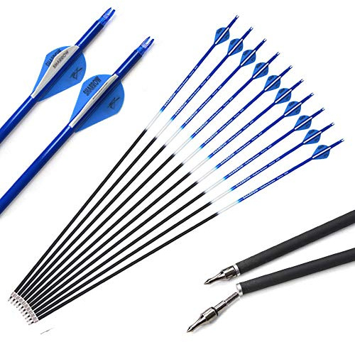 SHARROW 12 Stück Carbonpfeile 30 Zoll Bogenpfeile Pfeile für Bogen Spine 500 für Recurvebogen und Compoundbogen (Blau)