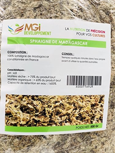 MGI Develoyment Sphaigne aus Madagascar – Pflanzensubstrat für Anzucht Hors-Sol