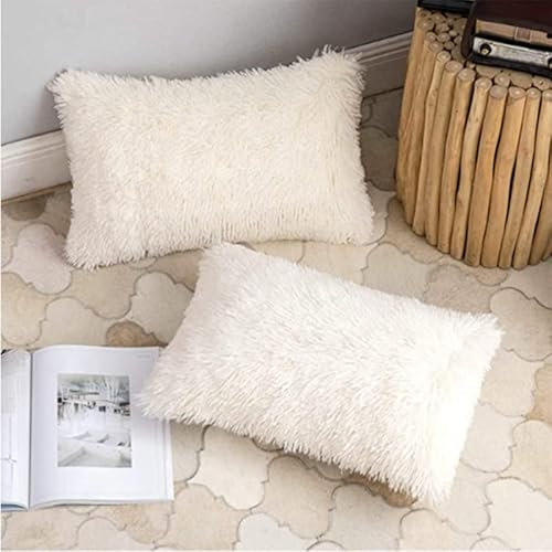 AdirHome 2er Set Kissenbezüge 50x70 cm Plüschkissen Kuschelig Couchkissen Superweich Kissen Flauschig Kissenbezug für Sofa Dekokissen Garten Outdoor Kissen (White,50 * 70 cm)