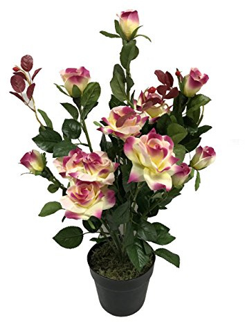Best Artificial 2ft 65cm Rose Plant Garden Office Conservatory Tropical Indoor Outdoor Tree (Multi-Coloured)