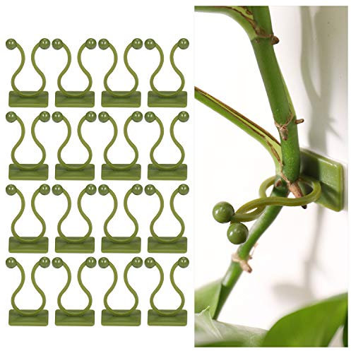 Zocipro 100Pcs Soporte de Plantas Trepadoras Autoadhesivo, Duradero Clips para Plantas de Jardín, Clips de Fijación de Plantas Trepadoras para Vid Verde, Decoración de Plantas Pared, Ganchos de Planta