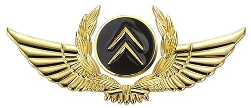 abrupt Logo Auto Emblem für Citroen Sega Elysee C5 C3 XR C4L 3D, Abzeichen Logo Buchstaben Wort Emblem Aufkleber, Zeichen Emblem Logo Abzeichen Sticker Abziehbilder