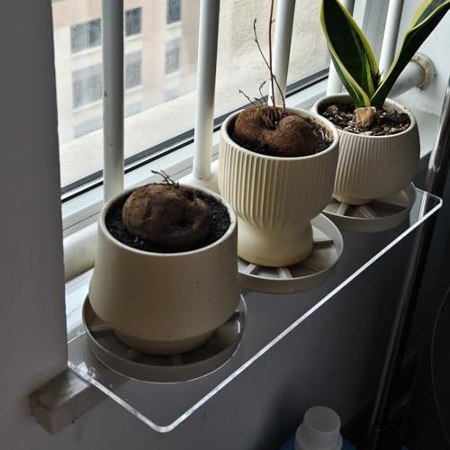 Fensterbank Verbreiterung Innen Fensterbankverlängerung für Pflanzen, Medizinschrankregal aus Kunststoff, Wasserdichter Fensterbankorganizer/Fensterpflanzenregal(30x25cm(11 3/4x9 7/8))