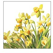 Ambiente Servietten Golden Daffodils Narzissen 25 x 25 cm