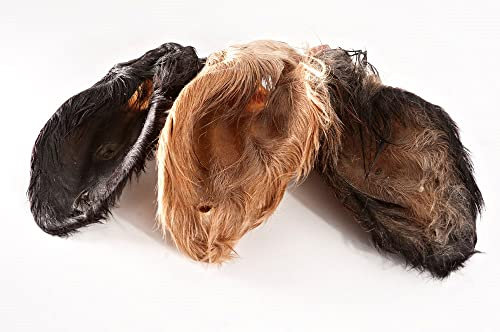 123... Hund dabei! - Kalbs-/Rinderohren mit Muschel und Fell XXL, schonend getrocknet, gut verträglich, natürliche Magen-Darm Reinigung (100)