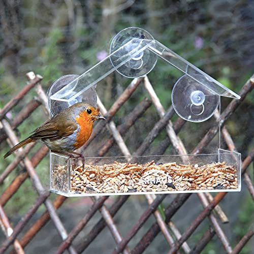 Glass Window Bird Feeder Station Seed Peanut Mealworm Suction Perspex Clear View