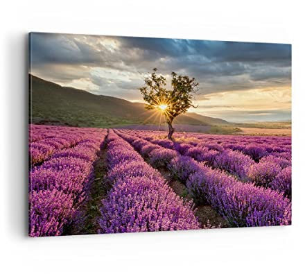 Bilder auf Leinwand 100x70cm Leinwandbild mit Rahmen Lavendel Berge Feld Groß Wanddeko Bild Schlafzimmer Küche Deko Wandbilder Dekoration Wohnzimmer Wall Decor Canvas Wand Kunstdruck Art AA100x70-3645