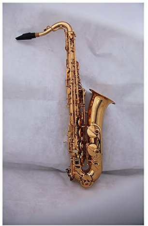 PECY Saxophon C Melody Saxophon Woodwind Sax Gold Lack Mit Gehäuse Und Mundstück