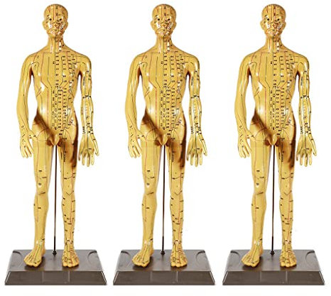 UIGJIOG Menschliches Akupunktur-Modell 50Cm Traditioneller Chinesischer Medizin Akupunktur Menschlicher Körper Akupunkturpunkt-Modell Arm Kann Gedreht Werden Akupunktur-Meridian-Modell Men Anatomical