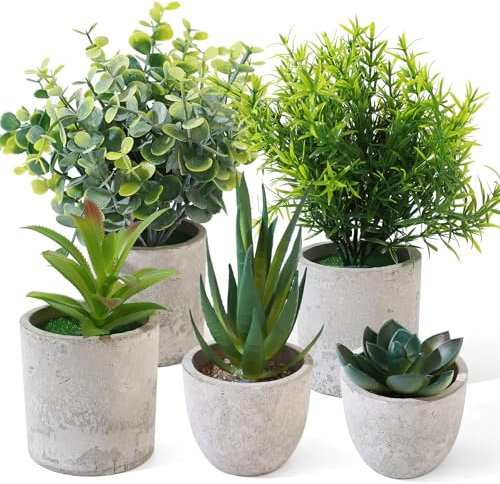 5 Pezzi Piante Finte da Interno, Pianta Finta da Interno, Piccole Piante Artificiali in Vaso, Pianta Finte Serpentine Succulente per Interni, Ufficio, Scrivania, Casa, Camera da Letto, Decorazione