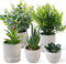 5 Piezas Plantas Artificiales Decorativas Pequeñas, Planta Artificial de Plástico de Serpiente Suculentas, Macetas Artificiales Decoracion para Decoración Baño Hogar Cocina Dormitorio Oficina Casa