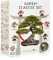 VEGETALIUS - Kit completo di 6 bonsai con semi e accessori - Made in France - Un'idea regalo originale per uomini e donne per la vostra casa o il vostro giardino