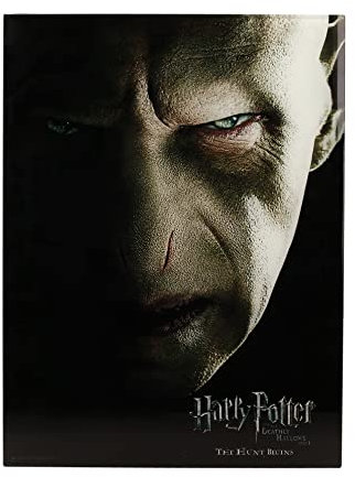 Poster Cristal Voldemort Harry Potter