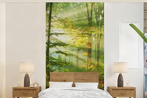 Selbstklebend Tapete Wandpapier Wandaufkleber Fototapete Tapeten Wanddeko 120x240 cm Sonne - Wald - Bäume - Natur - Herbst