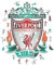 Iconic Puzzles, Liverpool Crest, 100% ökologisch nachhaltiges Holzpuzzle mit offizieller Lizenz, Größe L, 500 Teile
