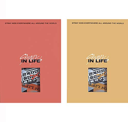 STRAY KIDS IN Life Standard Ver. (A Type+B Type Set) IN生 Repackage Album 2 CDs+2 Photobooks+4 Photocards+2 Postcards+(Extra 4 Photocards + 1 Double-Sided Photocard)