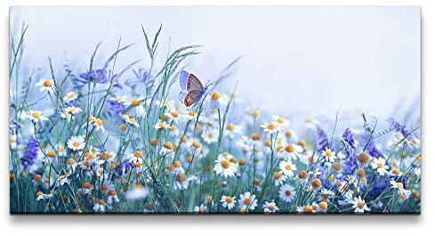 Paul Sinus Leinwandbild 120x60cm Sommerwiese Schmetterling Gänseblümchen Blumen Natur