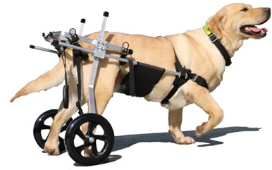 Yinian 2 Ruote Regolabile Cane Gatto Animale Domestico Anziano Carrello di Alimentazione Arti Posteriori Scooter Animale Disabile Reinserimento Carrelli per Cani Grandi(Size:L（20-25kg）)