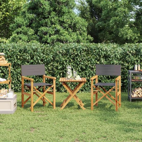 Tonture Regiestühle 2 STK. Klappbar Grau Massivholz Teak, 57x54,5x85 cm, Wetterfest für Garten, Balkon, Terrasse, Camping