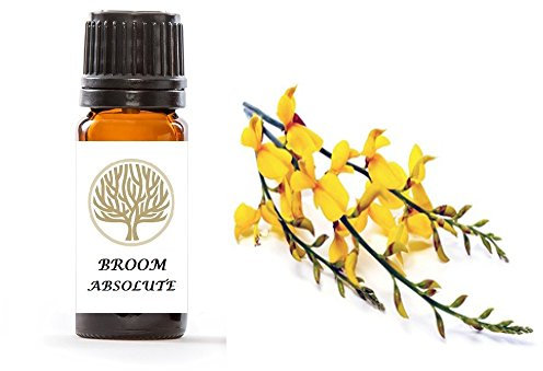 100% Pure Broom Absolute Oil (5ml)
