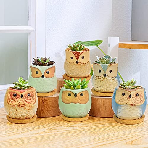QUCUMER 6 Pezzi Vaso da Fiori Carino Mini Vaso di Gufo in Ceramica Vaso di Piante con Vassoio in Bambù Vasetti Piante Grasse per Pianta Succulente Decorazione da Casa Tavolo Scrivania Ufficio