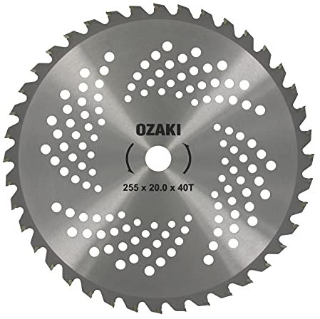 GREENSTAR - Cuchilla de 40 dientes para destrozadora, dientes con punta de carburo - Ancho de corte: 255 mm - Grosor 1,3 mm - Diámetro de 20 mm