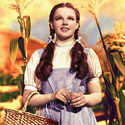 Fabulous Plakat Foto von Star berühmte Schauspielerin Judy Garland Original Alt Film 1 91x111cm