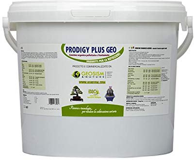 Prodigy Plus 1/3 mm (5 kg), concime granulare per bonsai, piante e fiori