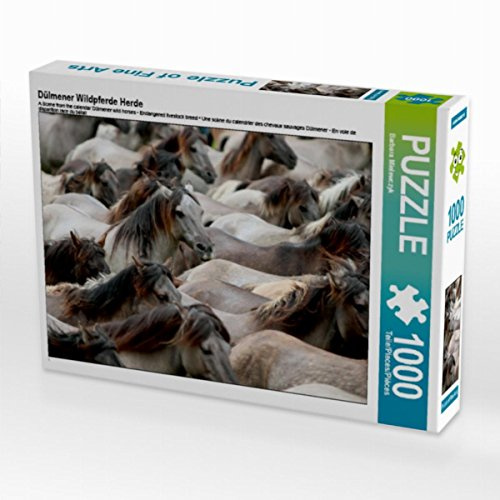 CALVENDO Puzzle Dülmener Wildpferde Herde | 1000 Teile Lege-Größe 64 x 48 cm Foto-Puzzle für glückliche Stunden