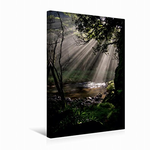 CALVENDO Sonnenaufgang Wailua Falls - Kauai