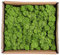 Warmiehomy Fake Artificial Moss for Crafting 130g Light Green Faux Moss for Arts and Crafts Christmas and Easter Decorations Landscaping, Floristry Indoor Plant Pots and Aquariums