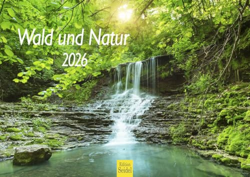 Edition Seidel Premium Kalender Wald und Natur 2026 Format DIN A4 Wandkalender Bäume Wälder Wasserfall Lichtungen Waldsee Berge Täler