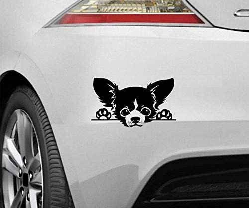 myrockshirt Peeking Dog Spähender Hund Chihuahua Typ17 ca.20cm Aufkleber,Sticker,Decal,Autoaufkleber,UV&Waschanlagenfest,Profi-Qualität,Wandtattoo