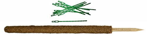Novatool Rankhilfe 60 cm und Pflanzenbinder I Befestigungsset Moosstab Efeutute I Zimmerpflanze Kokosstab