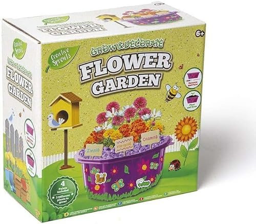 RMS International Creative Sprouts Grow & Decorate Your Own Flower Garden Childrens Craft Kit NS