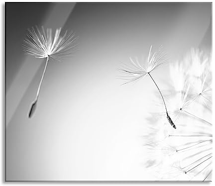 Löwenzahn Pusteblume Herdabdeckplatte & Spritzschutz aus Echtglas | Für Herd-Kochfelder | 60x52 cm