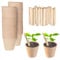 Green Thumbz Plant Pots - 50 Pack (6cm) Fibre Pots for Seedlings with Wooden Labels for Easy Transplanting - Small plant pots for Seedlings, Vegetables, Flowers and Herbs