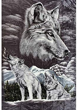 HAFIX Kuscheldecke – extra Weiche & Flauschige knitterfeste Flanell-Fleece Decke 'Wolf' - Wolldecke Überwurfdecke 200x240cm für wohlige Wärme & gemütliche Stimmung auf dem Sofa & im Bett schwarz/weiß.