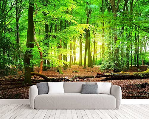 Fototapete 3D Effekt Tapete Urwald Regenwald Sonnenlicht 3D Tapeten Wandbilder Wohnzimmer Schlafzimmer Kinderzimmer Dekoration Wanddeko