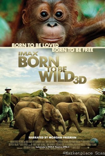Filmposter Born To Be Wild, 28 x 43 cm, #a1450