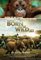 Filmposter Born To Be Wild, 28 x 43 cm, #a1450