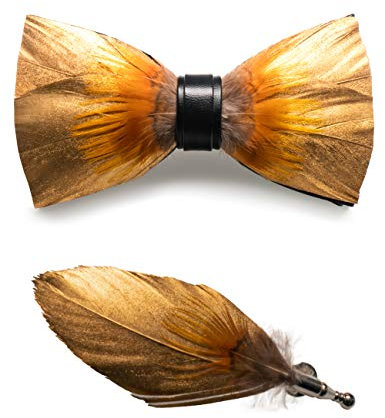 JEMYGINS Handgemacht Hochzeit Party Leder Fliege Feder Fliegen mit Geschenkbox Set für Herren (14), gold/ Feder braun