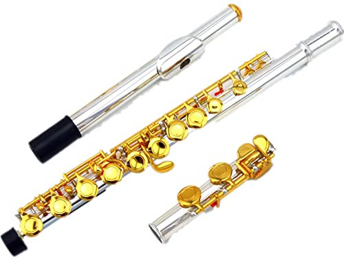 TSTS 16-Loch-Gold- und Silber-zweifarbiges Flötenmusikinstrument für Anfänger, vergoldete Knopfflöte mit geteilter E-Klappe Einsteiger Querflöten