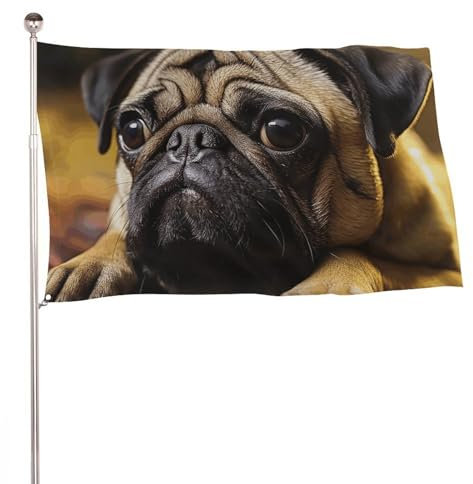 Flaggen, 152,4 x 243,8 cm, doppelseitige Flagge für den Außenbereich, Willkommensflaggen mit Messingösen, Weinmops-Flagge, Dekorationen, Hofflagge für Hochzeit, saisonale Feiertage, Außendekoration