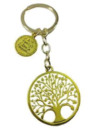 Portachiavi tascabile a doppia anella in acciaio inossidabile tema famiglia amore con albero della vita e cuori. Accessorio Unisex, Ottima idea Regalo! (albero della vita 2)