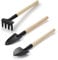 CHICAN Succulent Plants Tools, Mini Garden Hand Transplanting Gardening Tools Set, Miniature Planting Indoor Plastic Transplanting Bonsai, Miniature Succulent Plants Flower Gardening Kit (3 pieces)